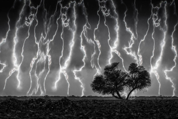在暴风雨和闪电之间的树的黑白图像。图片下载