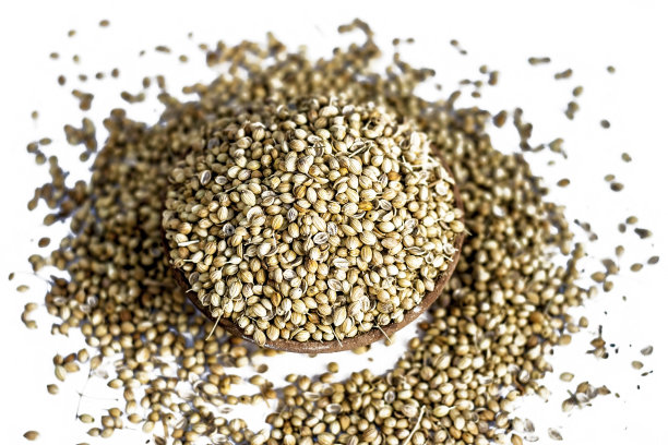 这是一个干燥的香菜种子的特写镜头，它被孤立在一个传统的陶土碗的白色表面上。图片下载