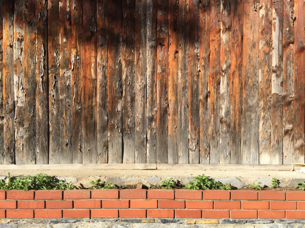木花园的墙图片下载