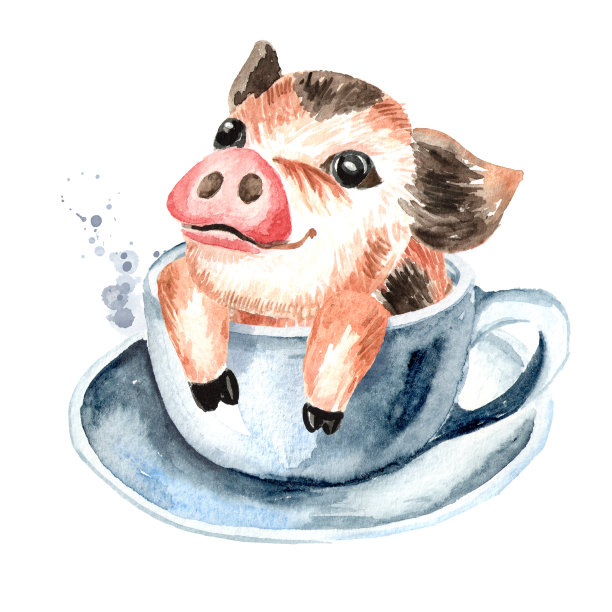 可爱有趣的小茶杯迷你猪在茶杯里。水彩手绘插图，孤立的白色背景图片下载