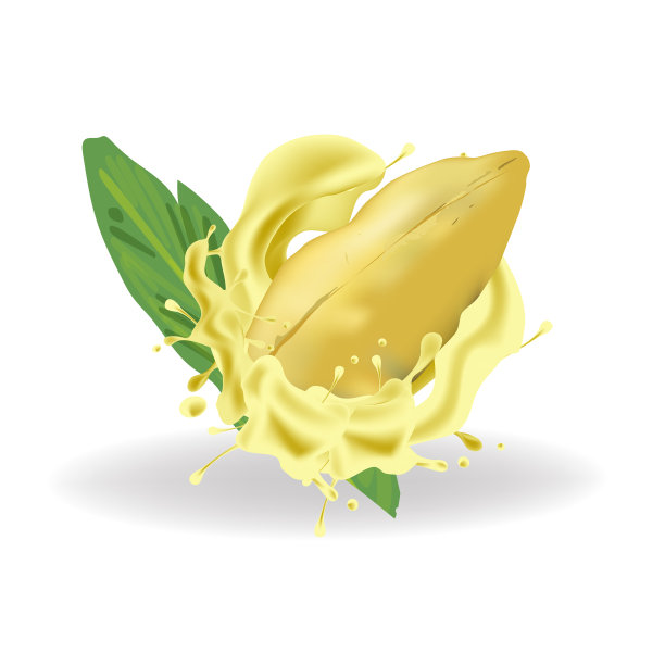 鲜嫩的榴莲牛奶水果载体风格上的白色背景图片下载