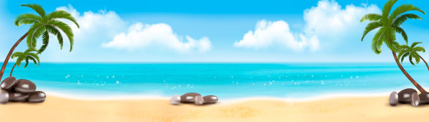 暑假全景：带棕榈树的海滩图片下载