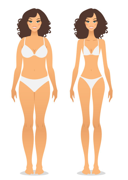 脂肪和瘦图片下载