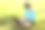 微笑的女孩坐在草地上在明亮的夏日和工作的电脑。在户外使用笔记本电脑，和朋友聊天。图片下载
