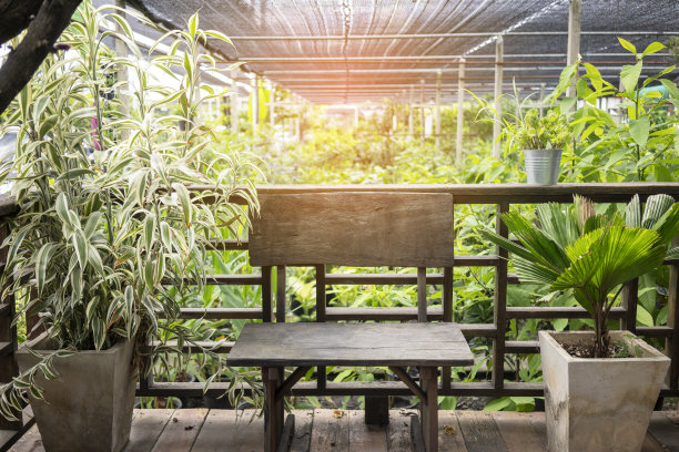 咖啡馆里摆着木椅，背景是一个树木花园。图片下载