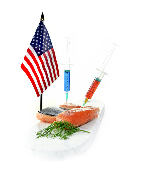 美国的鱼图片下载