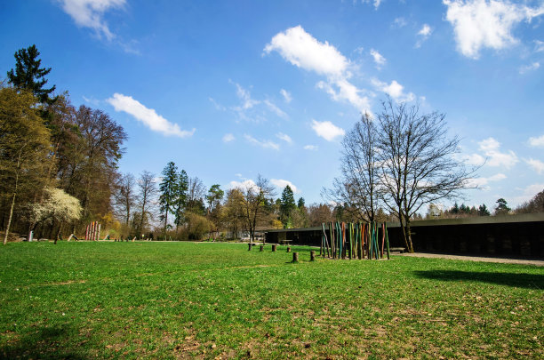 操场上2图片下载