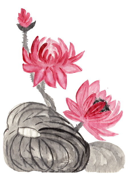 抽象花卉插画在日本民俗画风格的隅美。荷花和黑墨画的叶子孤立在白色的背景上。蜡染，书皮，t恤印花素材图片