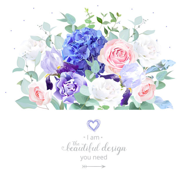 玫瑰，绣球花，桉树，鸢尾，康乃馨。图片下载