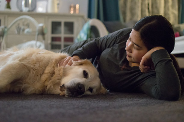 十几岁的女孩躺在她的狗旁边图片下载