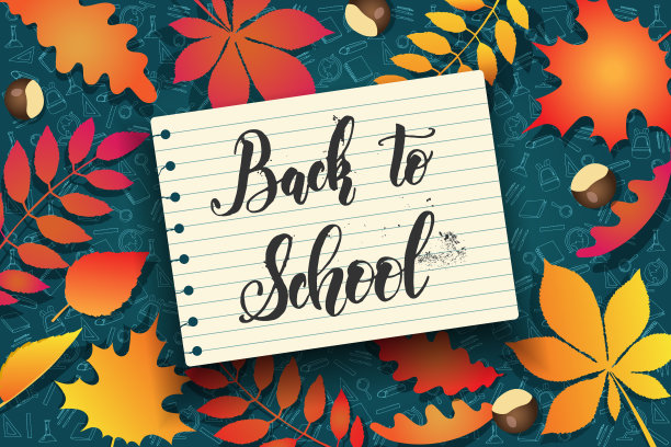 学校背景与手绘涂鸦图标的研究素描风格，秋天的树叶和手写字母“回到学校”。向量的背景。图片下载
