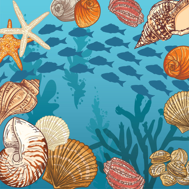 水下场景与海洋生物和植物图片下载