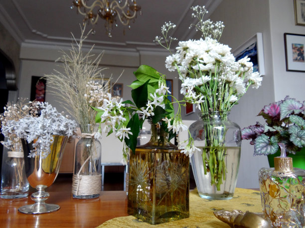 我自己的房子和我装饰的花瓶图片下载