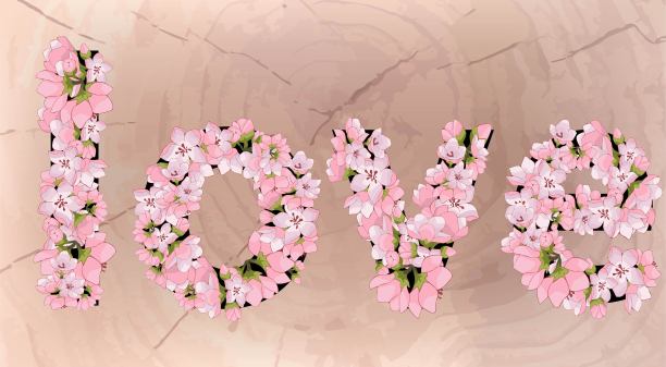 用粉红色的樱花、樱桃和苹果写在木头背景上。图片下载