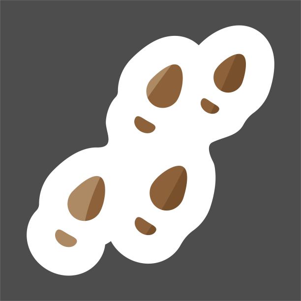 矢量图像的鞋子轨迹，鞋印。矢量彩色贴纸图标。图层分组便于编辑插图。为你的设计。图片下载