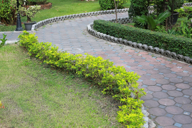 公园里的步道，以绿草为背景。图片下载