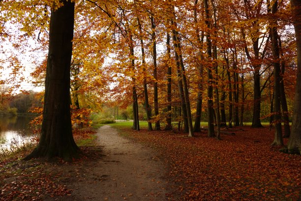 德国的巴尼奥湖图片下载