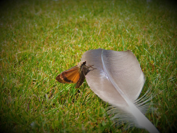奇妙的大自然图片下载