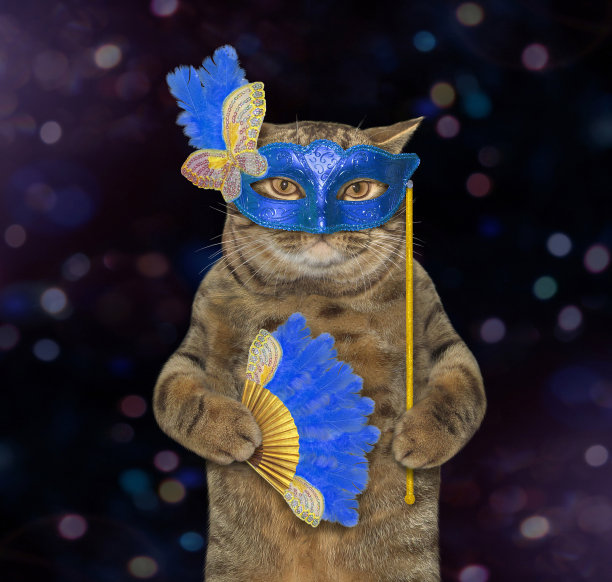 戴着蓝色面具的猫图片下载