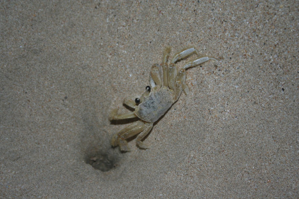 这房子图片下载