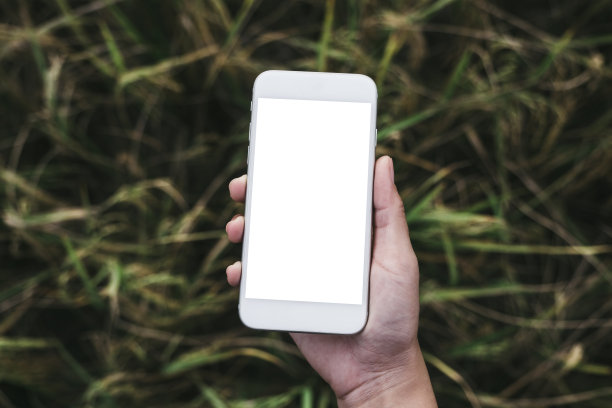 俯视图模型图像手持白色手机与空白桌面屏幕与绿色的自然背景图片下载