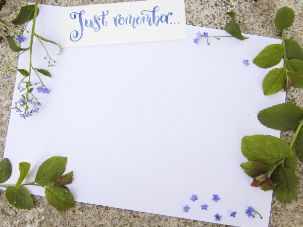 平铺排版与书法字母只是记得装饰与勿忘我的花和绿叶图片下载