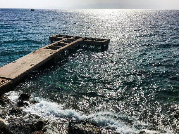 老木墩图片下载