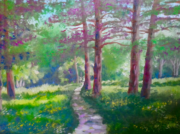 夏日景观七彩树素材图片