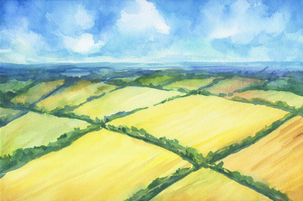 夏日田园风光——远处黄色的田野。全景。水彩手绘插图孤立的白色背景。素材图片