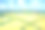 夏日田园风光——远处黄色的田野。全景。水彩手绘插图孤立的白色背景。图片下载
