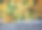 植物图片素材ID：319350402