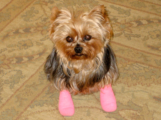 从手术图片下载