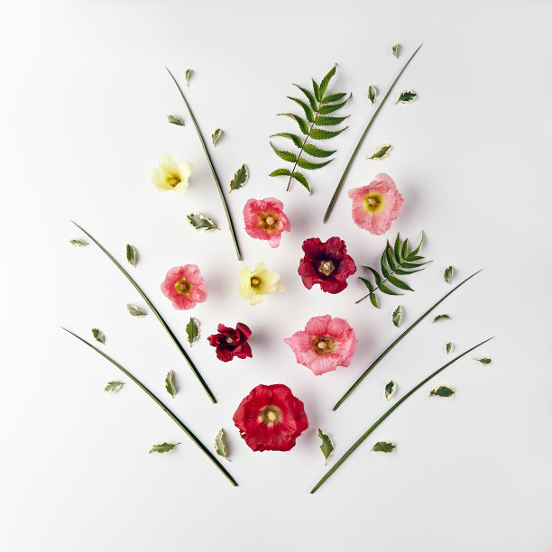 自然界最小的概念图片下载