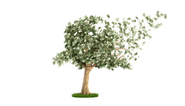 美元树与百元钞票上白色3d插图没有阴影图片下载