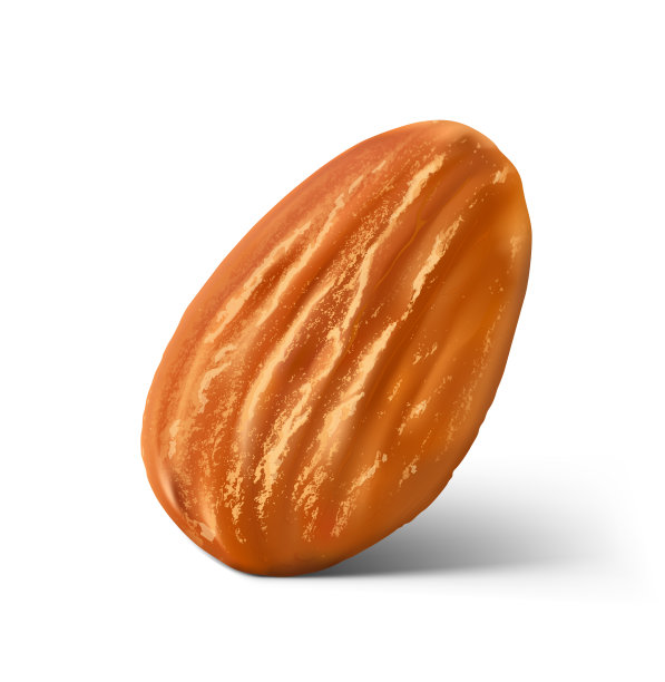 现实的杏仁坚果孤立在白色的背景。图片下载