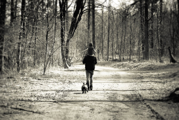 不管是好是坏图片下载