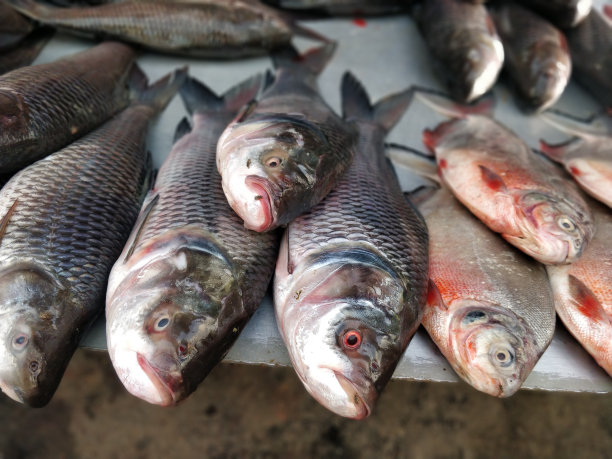 海鲜食品背景图片下载