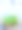 独行菜图片下载