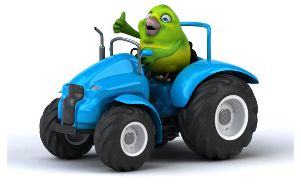 有趣的绿色鸟- 3D插图图片下载