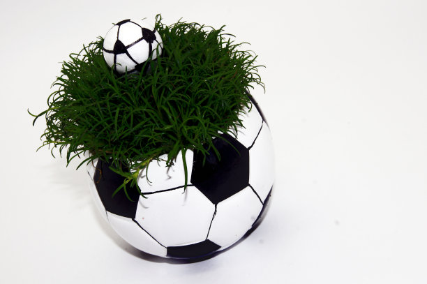 绿色草地上的足球图片下载