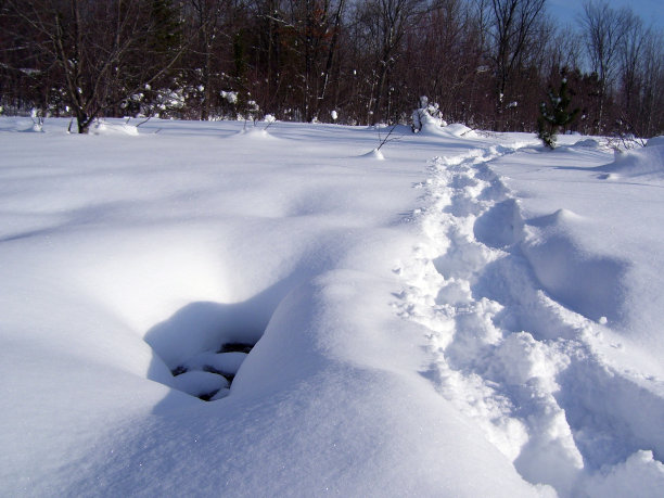 雪地里的脚印图片下载