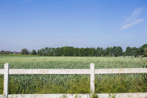 农业景观与绿色的田野在山上和太阳，复古图片图片下载