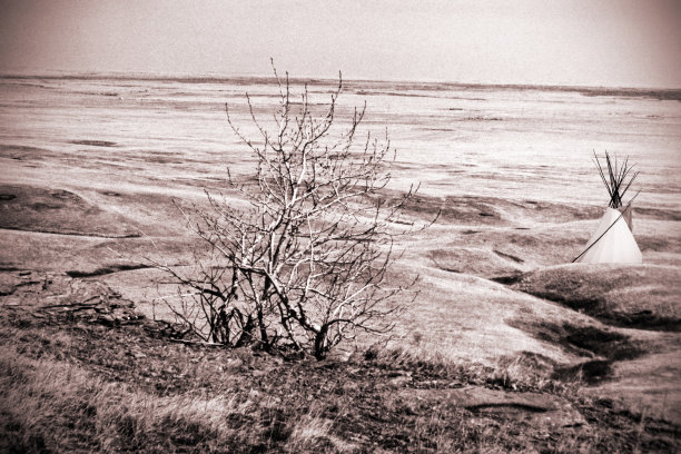 阿尔伯塔黑脚第一民族的帐篷和野牛的范围图片下载