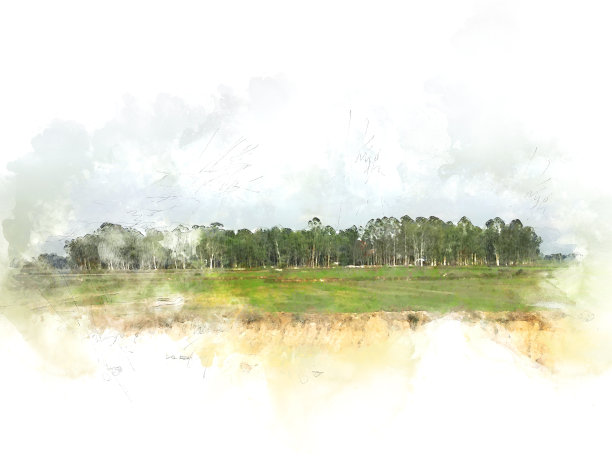 在水彩插画背景上抽象彩色的树木和田野风景。图片下载