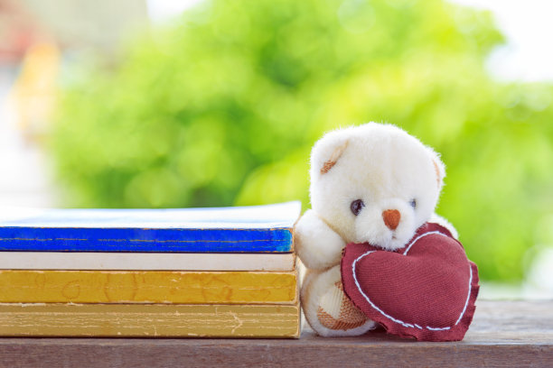 可爱的泰迪熊与形状的心枕头学习书籍与自然背景。图片下载