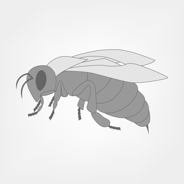 蜜蜂向量图片下载