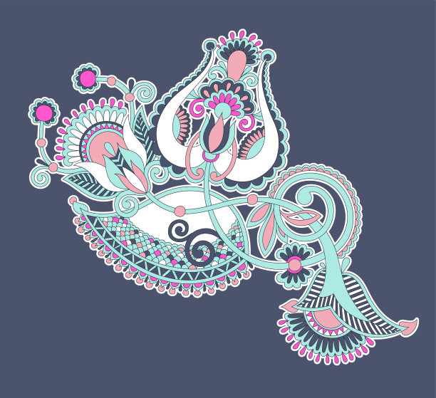 佩斯利花图案在民族风格图片下载