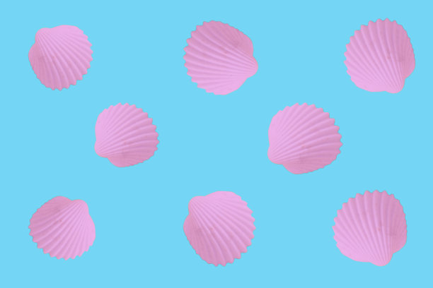 用牡蛎壳创作的彩色粉彩。图片下载