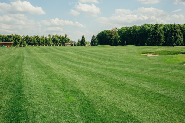 全帧拍摄的高尔夫球场图片下载