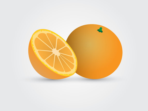 切片和全橙色在白色背景矢量插图图片下载